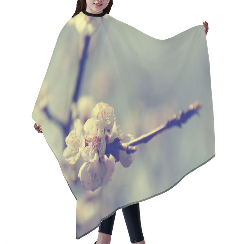 Personality  Vintage Cherry Blossom Hair Cutting Cape