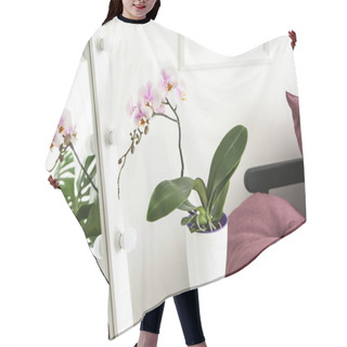 Personality  Beautiful Orchid Flower In Interior Of Room Hair Cutting Cape
