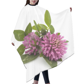 Personality  Clover Or Trefoil Flowers Hair Cutting Cape