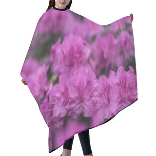 Personality  Close-up View Of Beautiful Small Blooming Purple Flowers Hair Cutting Cape