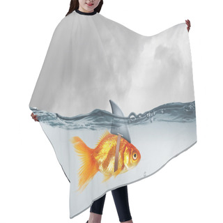 Personality  Gold Fish With Shark Flip . Mixed Media Hair Cutting Cape