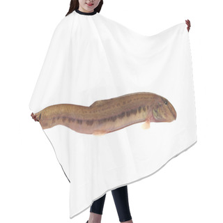 Personality  Alive Fish Loah  Hair Cutting Cape
