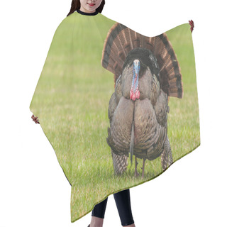 Personality  Wild Turkey  Hair Cutting Cape