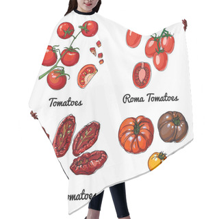 Personality  Tomatoes. Vector Food Icons Of Vegetables. Colored Sketch Of Food Products. Roma Tomatoes, Sun Dried Tomatoes, Heiloom Hair Cutting Cape