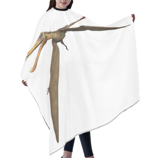 Personality  3D Rendering Of A Pterodactyl Anhanguera Isolated On White Background Hair Cutting Cape