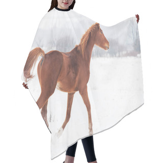 Personality  Horse Running In Winter Landscape Hair Cutting Cape