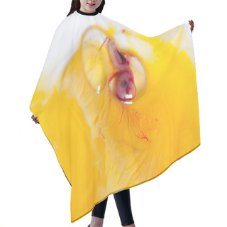 Personality  Bird Embryo Hair Cutting Cape