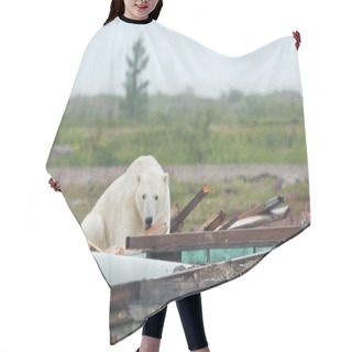 Personality  Polar Bear And Junk 1 Hair Cutting Cape