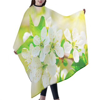 Personality  Blooming Branch Of Cherry In The Sun Hair Cutting Cape