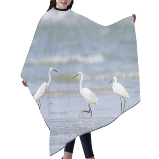 Personality  A Little Egret Standing On The Beach, Sunny Day In Northern France Hair Cutting Cape