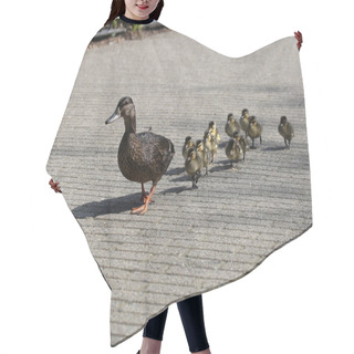 Personality  Mother Duck With Ducklings Hair Cutting Cape