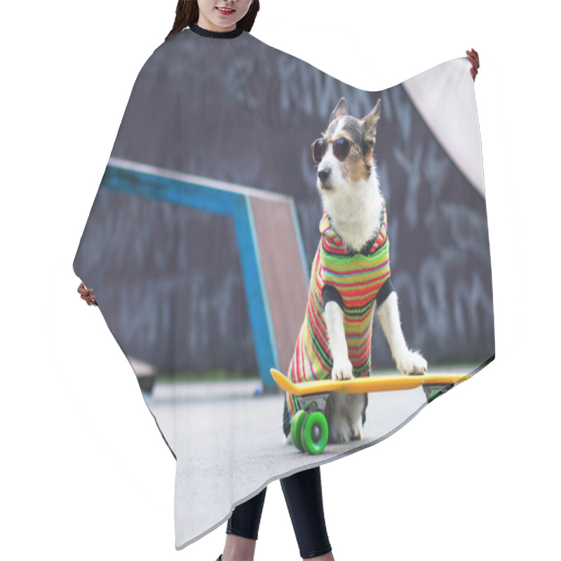 Personality  Stylish Dog On The Ramp, Riding A Penny Board Outside. A Pet Is Riding A Skateboard Or Longboard On The Playground Hair Cutting Cape