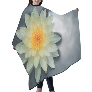 Personality  Lotus Blossoms Or Water Lily Flowers Blooming Hair Cutting Cape