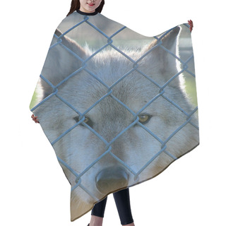 Personality  Caged Gray Wolf Hair Cutting Cape