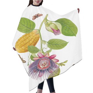 Personality  Vibrant Botanical Illustration Featuring Flowers, Fruits, And Butterflies. The Digital Watercolor Style Adds A Vintage Touch, Set Against A Textured White Background. Hair Cutting Cape