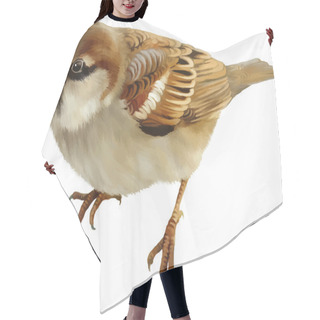 Personality  House Sparrow Hair Cutting Cape