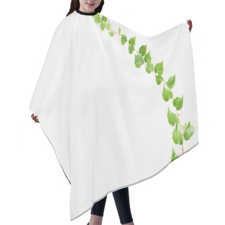 Personality  Top View Of Hop Plant Twig With Green Leaves Isolated On White With Copy Space  Hair Cutting Cape