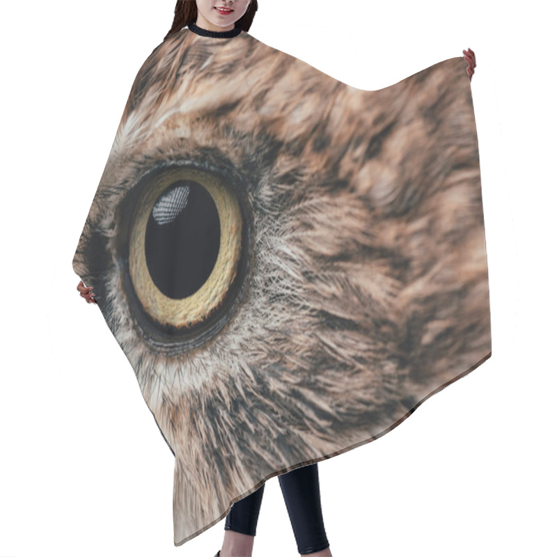 Personality  Close Up View Of Wild Owl Eye Hair Cutting Cape