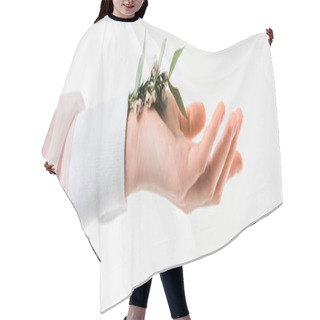 Personality  Panoramic Shot Of Female Hand Holding Eucalyptus Leaves With Flowers In Hand On White  Hair Cutting Cape