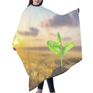 Personality  Green Plant In Soil Hair Cutting Cape