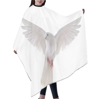 Personality  Flying Dove Hair Cutting Cape