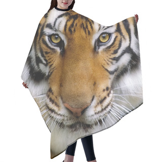 Personality  Tigers Face. Hair Cutting Cape