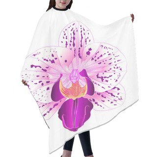 Personality  Beautiful Purple And White Orchid Phalaenopsis Flower Closeup Isolated Vintage  Vector Illustration Editable Hand Draw  Hair Cutting Cape