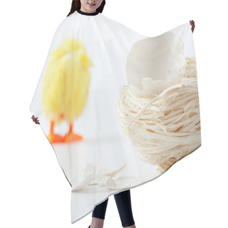Personality  Nest With Eggshell Cracks And Walking Away Chicken Hair Cutting Cape