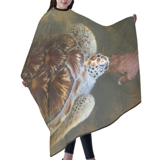 Personality  Sea Turtle Touching Hand Of Woman Hair Cutting Cape
