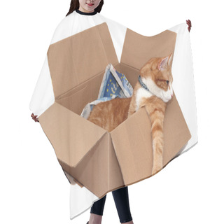 Personality  Relaxed Tomcat In Removal Box Hair Cutting Cape