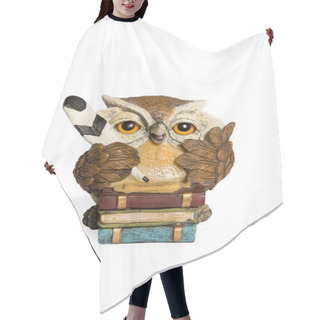 Personality  Statuette Beige Owl With Feather And Books Hair Cutting Cape