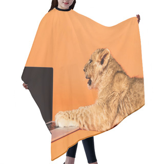 Personality  Side View Of Cute Lion Cub Lying Near Laptop With Blank Screen On Orange Background Hair Cutting Cape