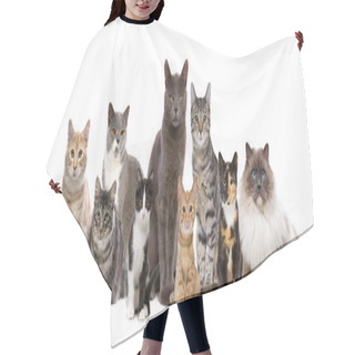 Personality  Ten Cats In A Row Hair Cutting Cape