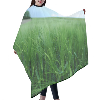 Personality  Green Field Of Barley Hair Cutting Cape