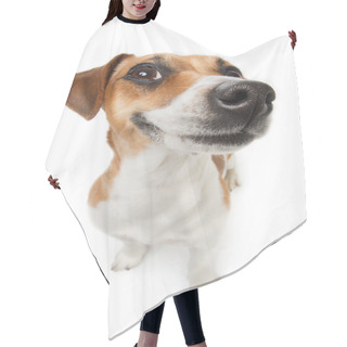 Personality  Cute Small Dog Hair Cutting Cape
