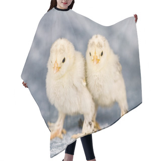 Personality  Booted Bantam Chickens Hair Cutting Cape