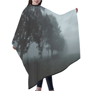Personality  Dark Trees Hair Cutting Cape