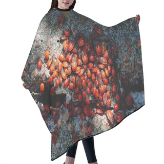 Personality  Top View Of Many Red Firebugs On Concrete Surface Hair Cutting Cape