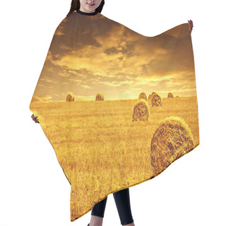 Personality  Wheat Harvest Time Hair Cutting Cape