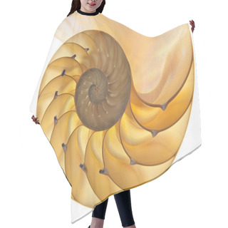 Personality  Nautilus Shell Hair Cutting Cape