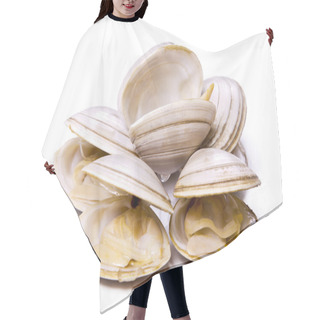 Personality   Seafood, Isolated Tasty Clams Hair Cutting Cape