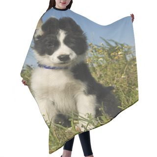 Personality  Puppy Border Collie Hair Cutting Cape