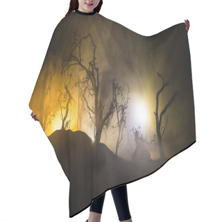 Personality  Spooky Dark Landscape Showing Silhouettes Of Trees In The Swamp On Misty Night. Night Mysterious Forest In Fire And Dramatic Cloudy Night Sky Hair Cutting Cape