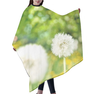 Personality  Dandelions On Green Nature Background Hair Cutting Cape