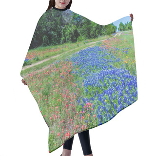 Personality  A Beautiful Rural Texas Field With A Variety Of Texas Wildflowers, Including Bluebonnets. Hair Cutting Cape
