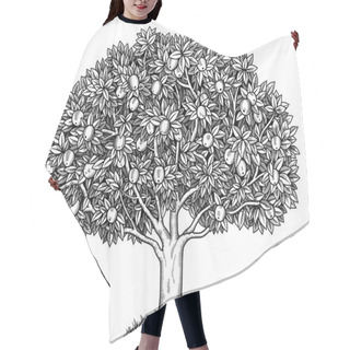Personality  Apple Tree  Hair Cutting Cape