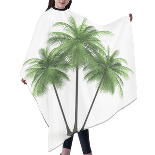 Personality  Green Palms On A White Background. 3d Image. Hair Cutting Cape