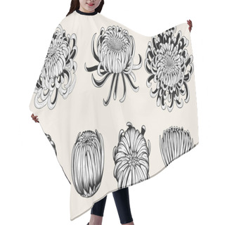 Personality  Chrysanthemum Vector On Brown Background.Chrysanthemum Flower By Hand Drawing.Floral Tattoo Highly Detailed In Line Art Style.Flower Tattoo Black And White Concept. Hair Cutting Cape