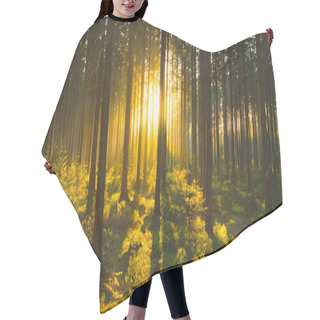 Personality  Silent Forest In Spring With Beautiful Bright Sun Rays Hair Cutting Cape