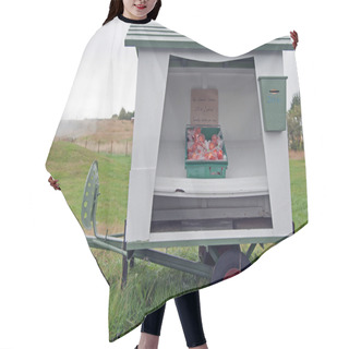 Personality  Iceland - The Northwest - Thermal Spring Deildartunguhver Hair Cutting Cape